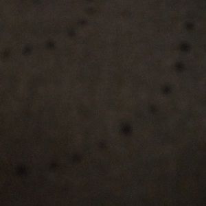 Meet your Posher, Luis